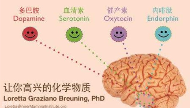 网络图片(侵删)