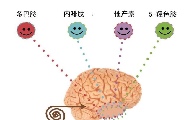 网络图片(侵删)