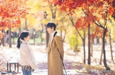 ​好看的韩剧排行榜前十名（豆瓣10大热门韩剧）