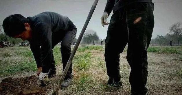 盗墓的最新规矩（揭秘一个古老的行当）(10)