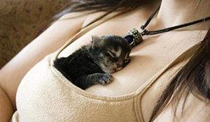 高智商烧脑的电影17部（考验你智商的时刻到了）(9)