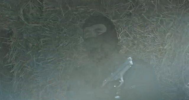 电影无双完全解析（电影无双解析及武器盘点）(11)