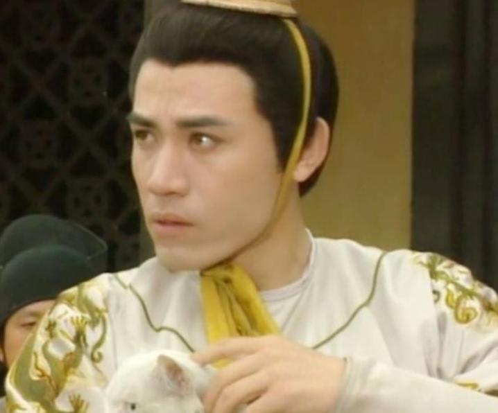 电视剧大宅门白景琦扮演者（电视剧大宅门哪年拍的）(图3)