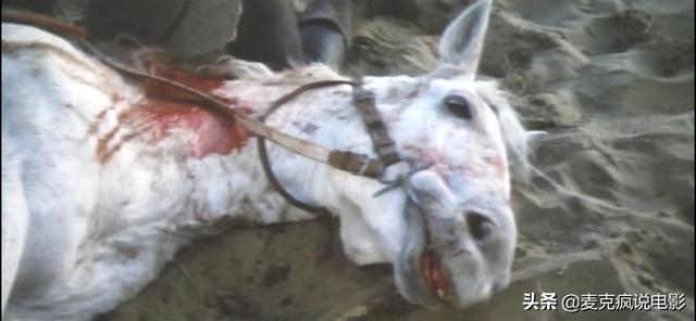 徐小明的电影全集 徐小明为何是全能影人(7)