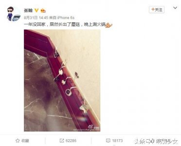 ​张翰发博称一年多没回家，家里长蘑菇了，吃货们的评论亮了