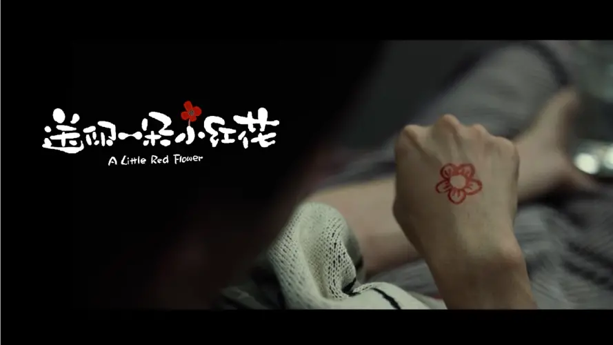 11部虐心到哭出来的电影（10部哭到崩溃的电影）(图5)