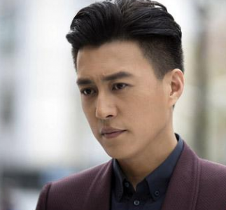 ​靳东演的电视剧全部(靳东主演的抗日电视剧)