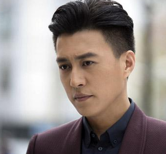 靳东演的电视剧全部(靳东主演的抗日电视剧) 靳东 全部 第1张