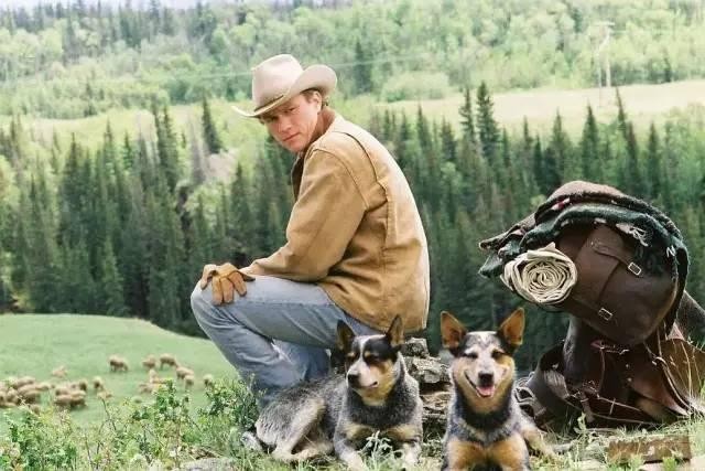 守护boss剧情（守护boss女秘书管教男上司）