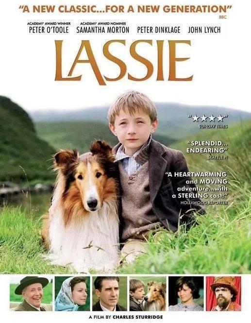 6部写狗的感人电影，部部堪比忠犬八公，看完以后不哭的都是汉子