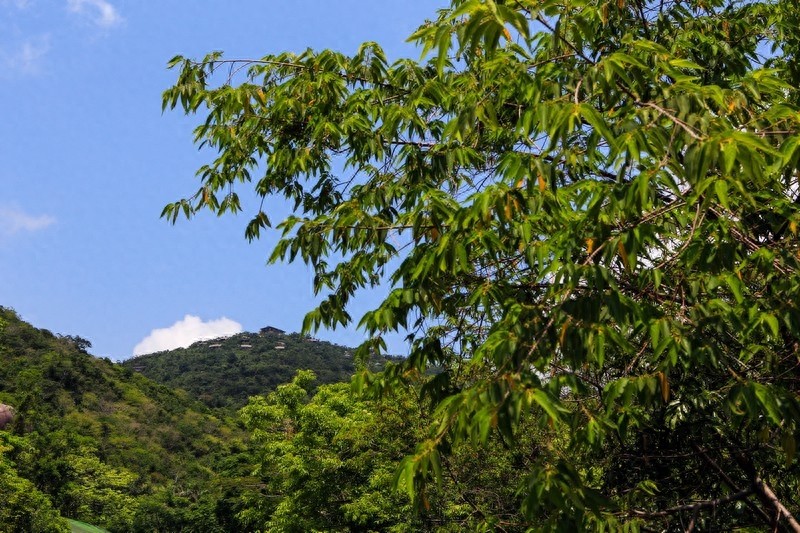 亚龙湾热带天堂森林公园,滨海山地生态观光兼生态度假型森林公园