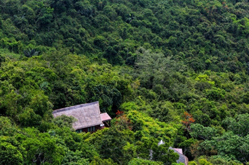 亚龙湾热带天堂森林公园,滨海山地生态观光兼生态度假型森林公园