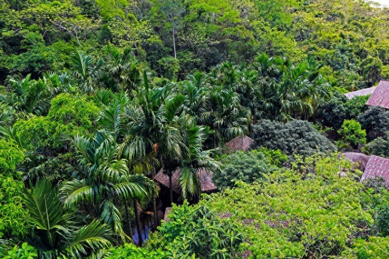 亚龙湾热带天堂森林公园,滨海山地生态观光兼生态度假型森林公园