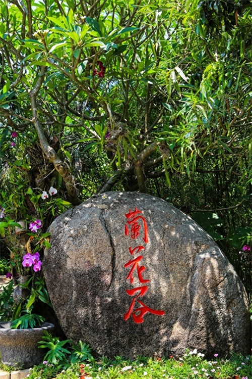 亚龙湾热带天堂森林公园,滨海山地生态观光兼生态度假型森林公园