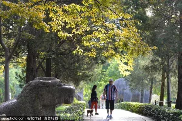 7月北京最便宜机票（北京出发最低只要79元）(19)