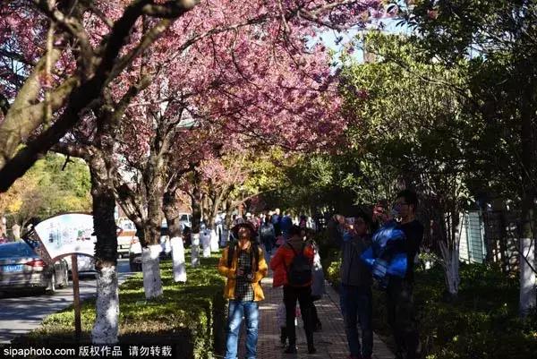 7月北京最便宜机票（北京出发最低只要79元）(25)