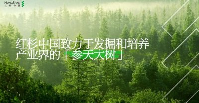 ​閫熼€?| 澶栧獟鎶ラ亾锛氱孩鏉変腑鍥芥鍔犲揩鍏ㄧ悆甯傚満甯冨眬