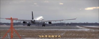​宠物怎么寄到别的城市