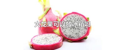 ​火龙果可以放冰箱吗