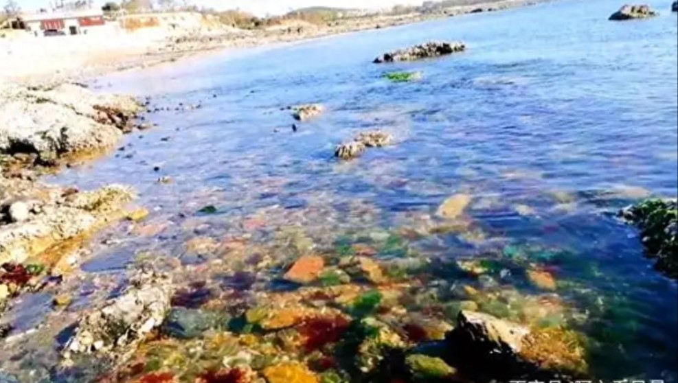 大连金石滩之观海篇,蓝宝石样的海水,金色的沙滩,好美