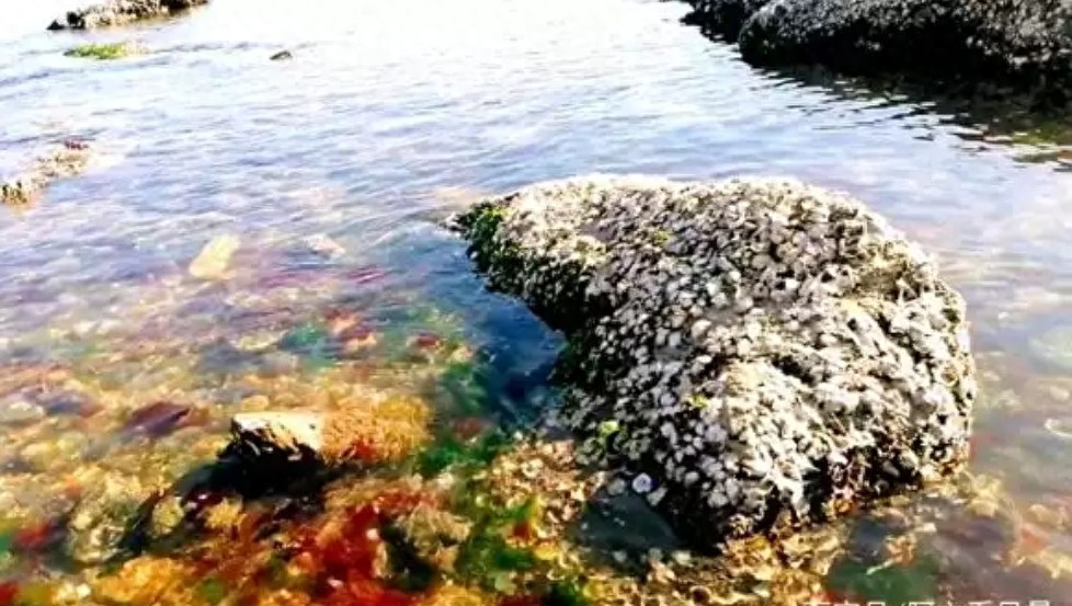 大连金石滩之观海篇,蓝宝石样的海水,金色的沙滩,好美