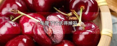 ​车厘子汁洗得掉吗