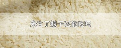 ​米生了蛾子还能吃吗
