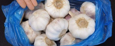 ​大蒜怎样可以储存一年