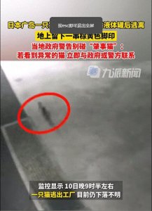 ​日本广岛一猫掉进有毒液体罐后逃离，当地政府：别碰！