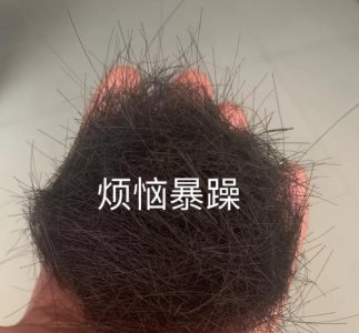 ​表情包｜哦豁，你居然没老婆？
