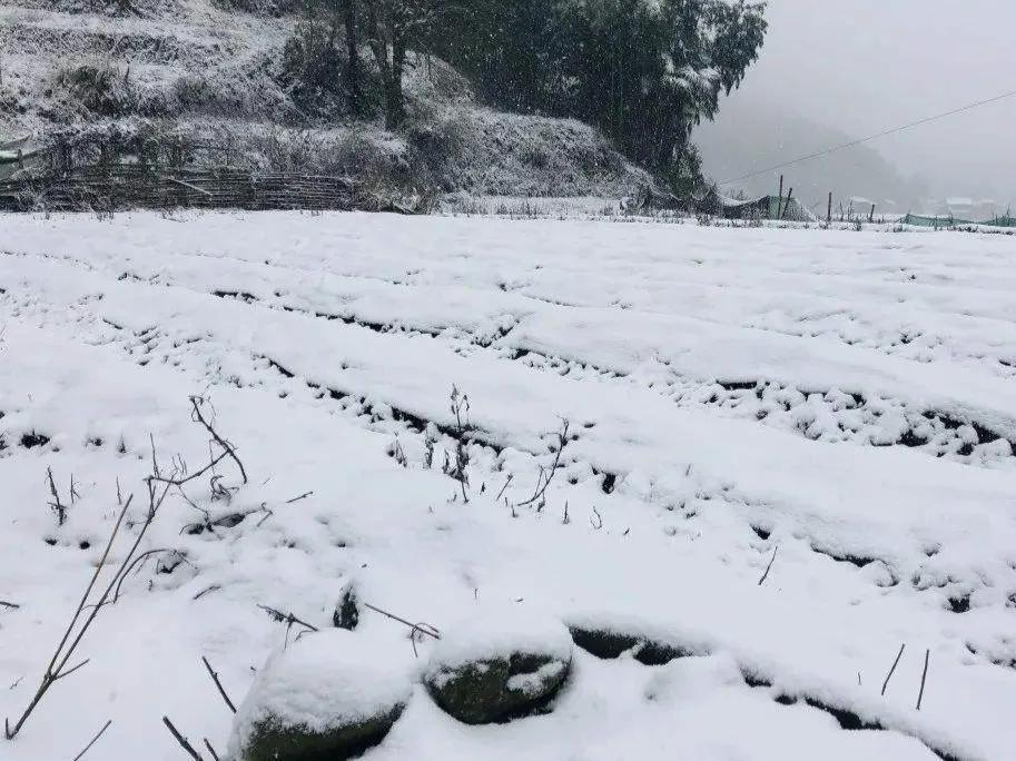 晚春是几月份到几月份(早春和晚春有什么区别)