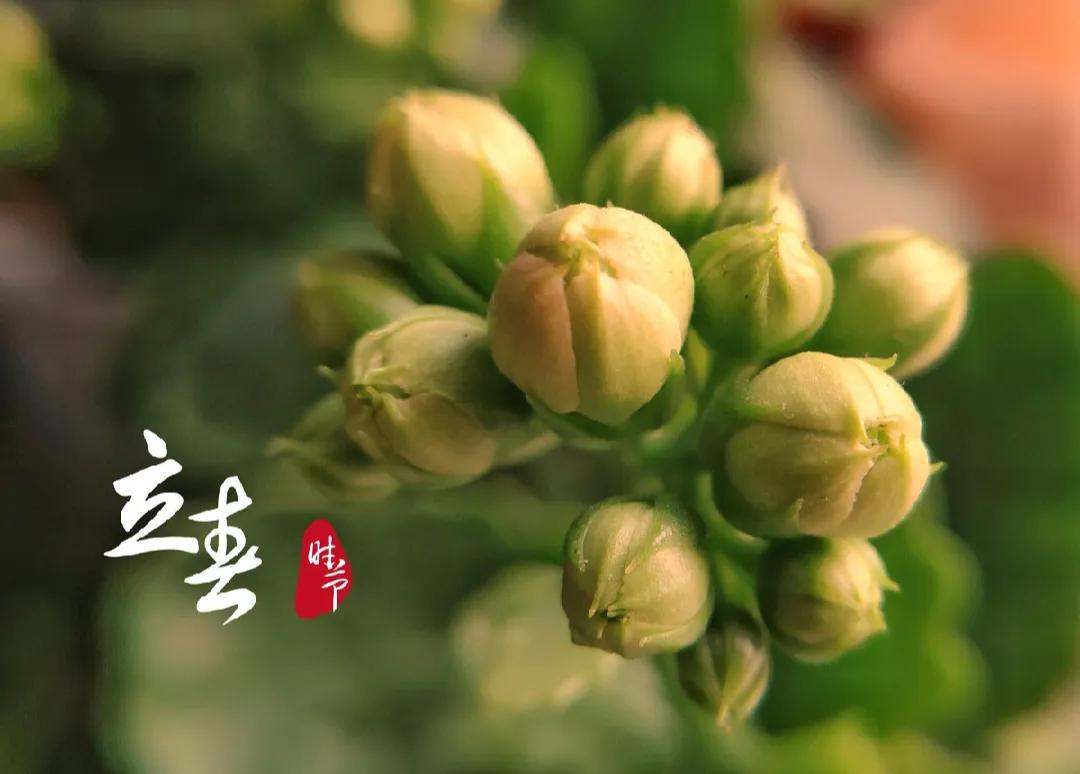 晚春是几月份到几月份(早春和晚春有什么区别)