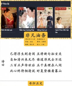 ​国产电视剧的美元之路