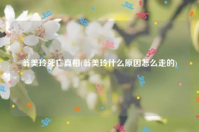 ​翁美玲死亡真相(翁美玲什么原因怎么走的)