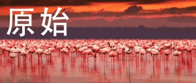 ​非洲探索｜在非洲拍摄的好莱坞电影都有哪些？这些电影你看过吗？