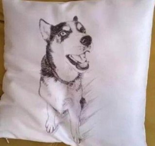 ​发朋友圈说二哈拆什么都不拆这个,看完照片,朋友笑喷了!