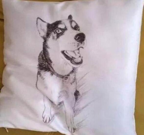 发朋友圈说二哈拆什么都不拆这个,看完照片,朋友笑喷了!