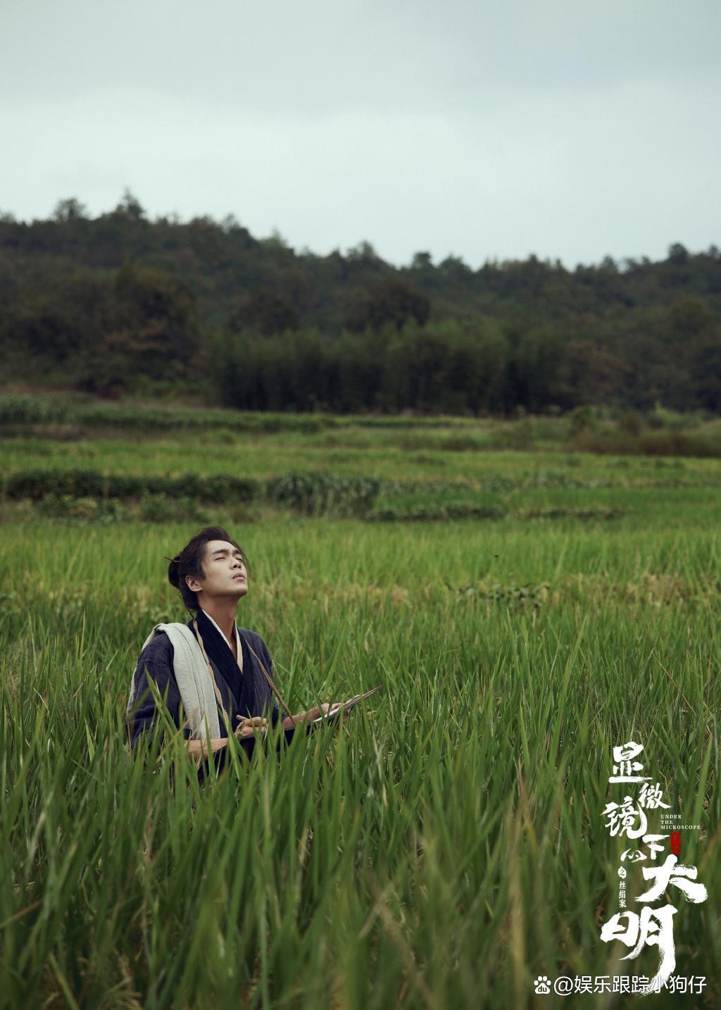 定档!张若昀《显微镜下的大明》追剧日历:首更4集,随后日更1集