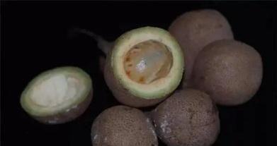 这种美味吃了之后，放屁都是香的，被欧洲皇家贵族视若珍宝！