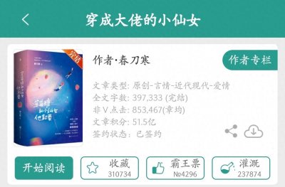 ​《穿成大佬的小仙女》：前世今生的校园恋爱爽文，看起来像炸鸡皮