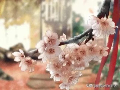 ​《以身饲龙》古言权谋，文风大气，隐忍心计王爷x聪慧伶俐宫女