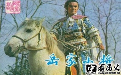 ​盘点不同影视剧中岳云的扮演者