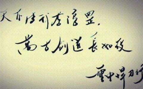 雪中悍刀行大概什么时候能上映（雪中悍刀行要开拍了）(14)