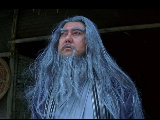 雪中悍刀行大概什么时候能上映（雪中悍刀行要开拍了）(9)