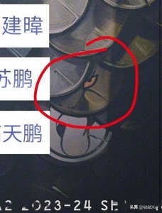 ​G2与IG正式联手进军DOTA2，双方官宣合作