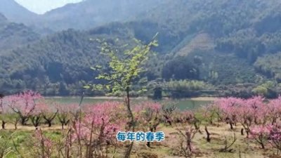 ​湖北省黄冈市英山县桃花冲风景区