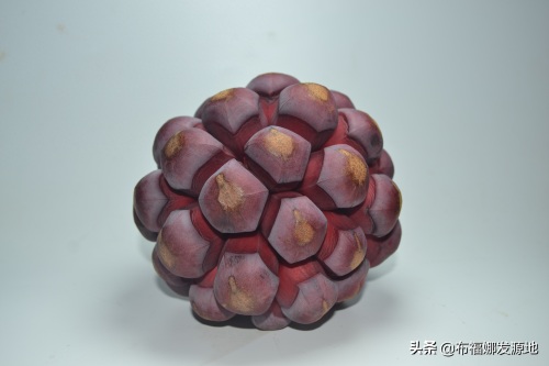 贵州锦屏黑老虎种植发源地，成熟的布福娜太美了，看着都很想吃