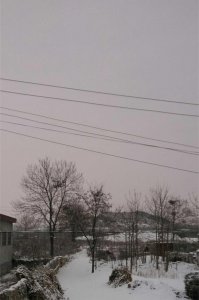 ​山东农村谚语顺口溜-交九