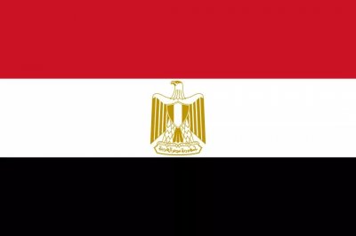 ​埃及·国旗
