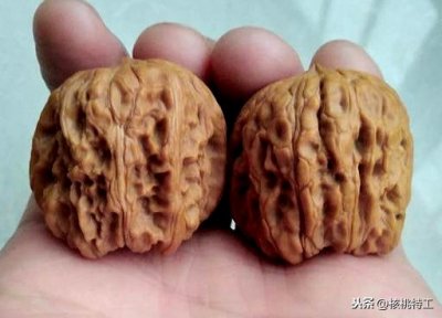 ​100种文玩核桃品种分享之54：麒麟纹狮子头（门墩狮子头）